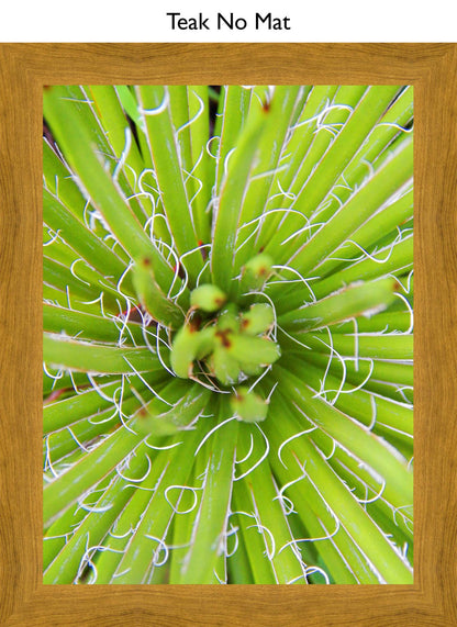 Teak No Mat