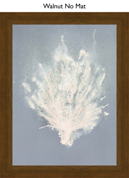 Walnut No Mat