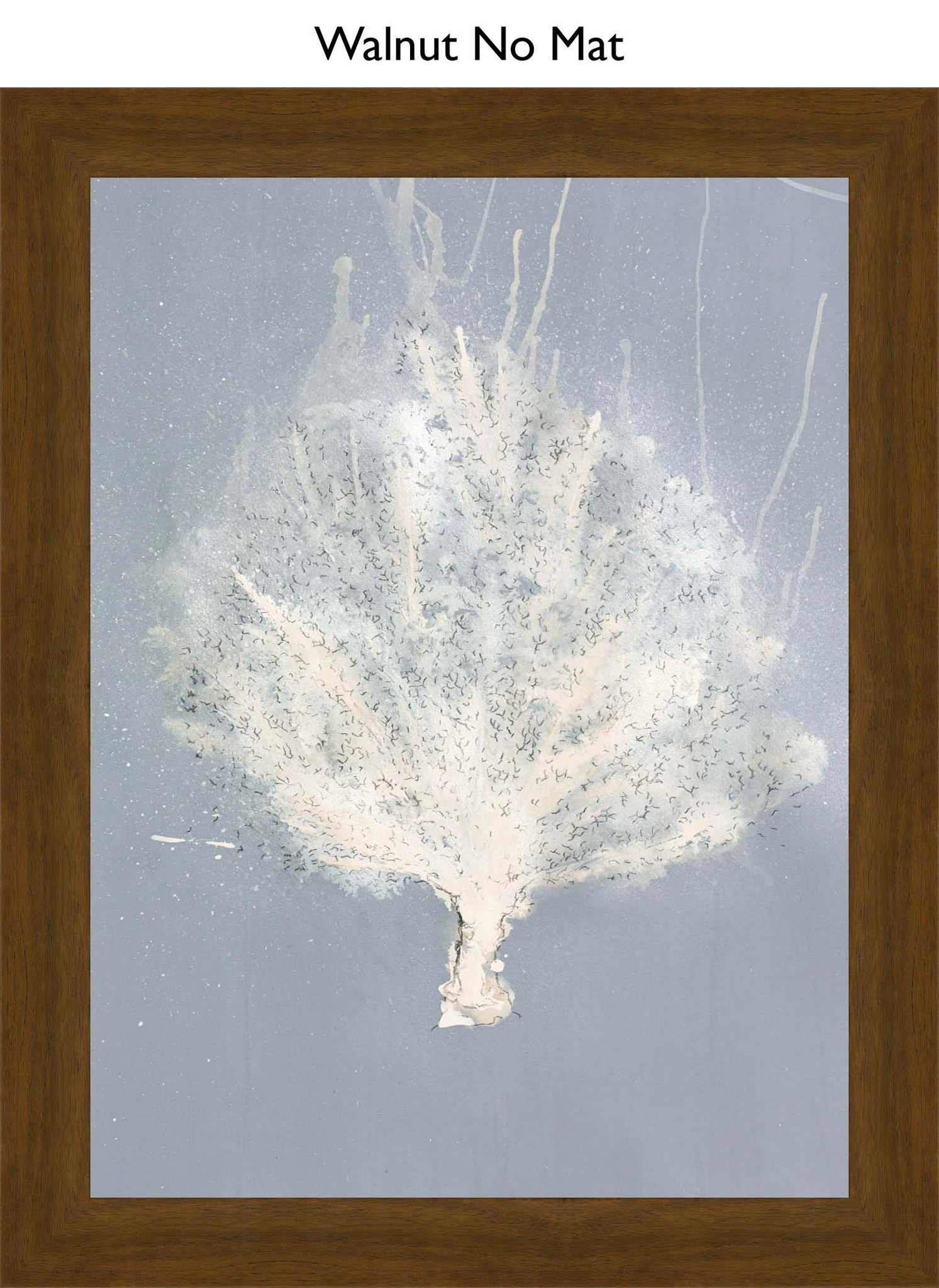 Walnut No Mat