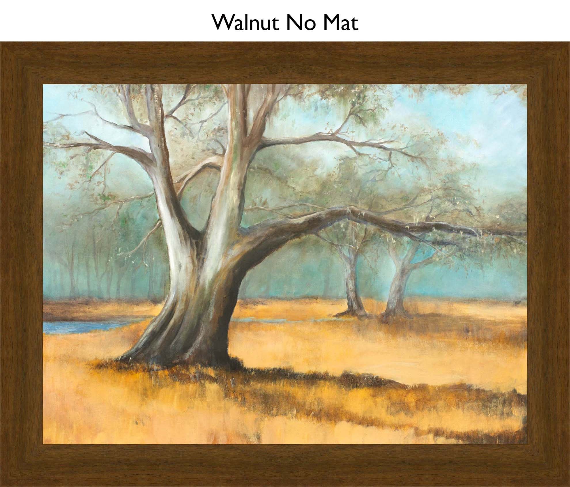 Walnut No Mat