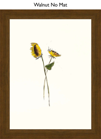 Walnut No Mat