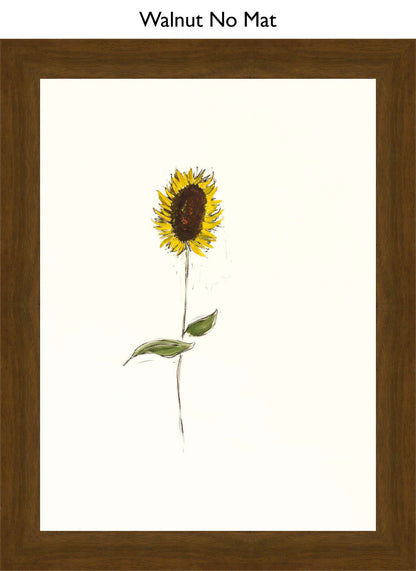 Walnut No Mat