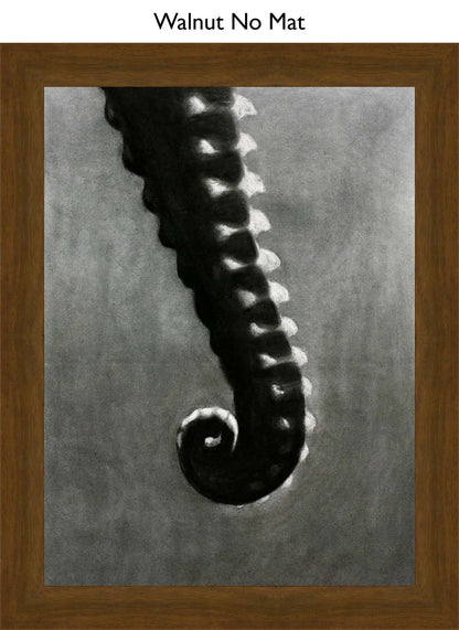 Walnut No Mat