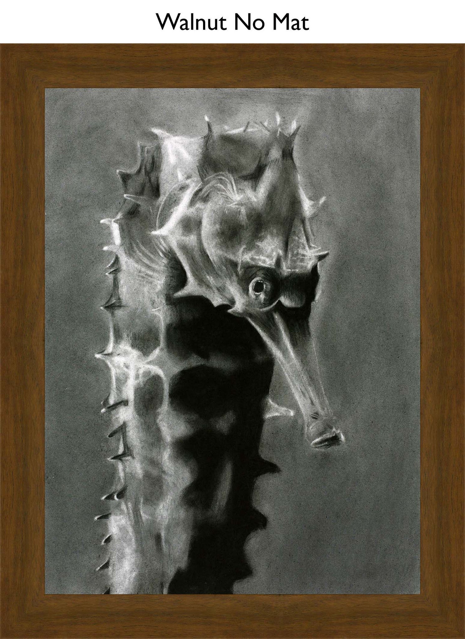 Walnut No Mat