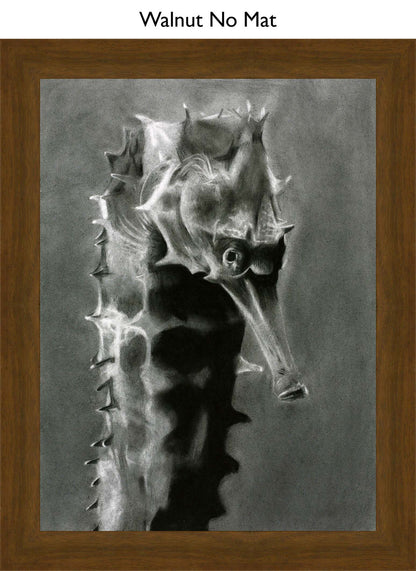 Walnut No Mat