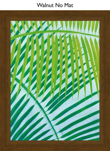 Walnut No Mat