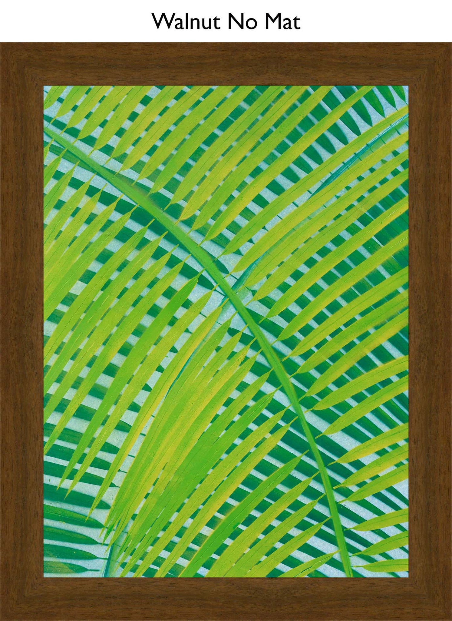 Walnut No Mat