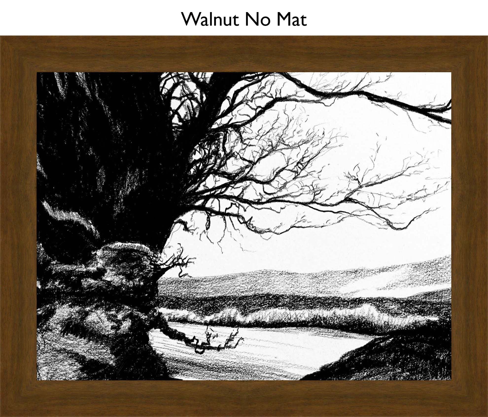 Walnut No Mat