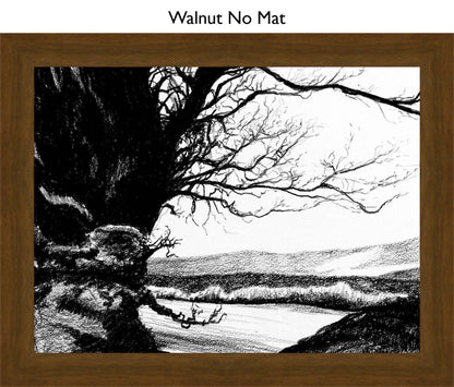 Walnut No Mat