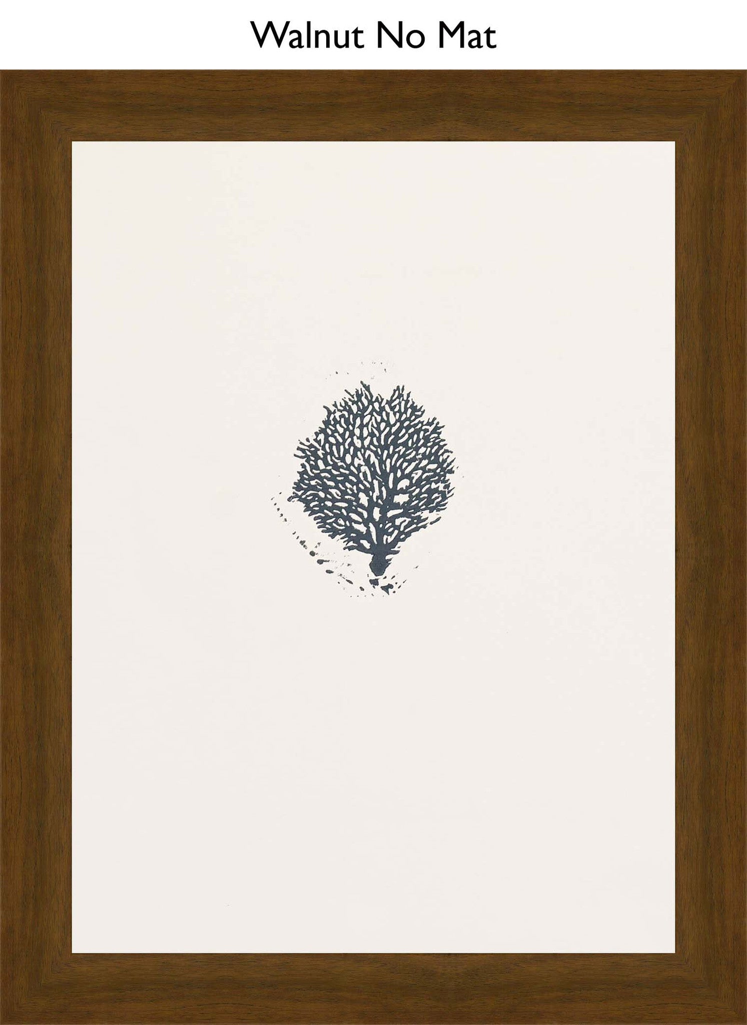 Walnut No Mat