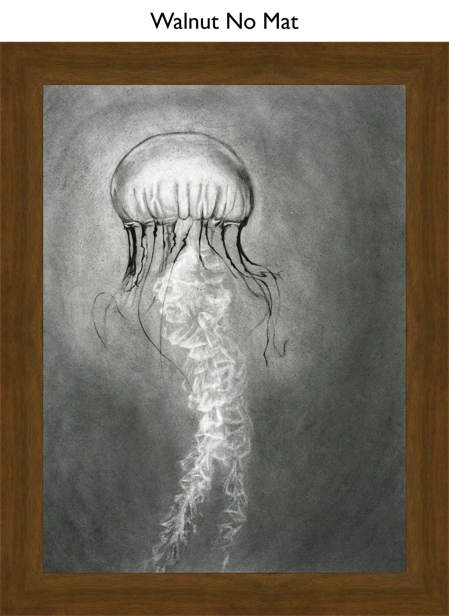 Walnut No Mat