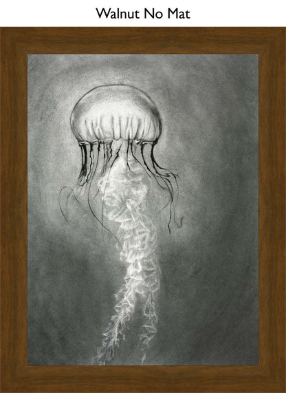 Walnut No Mat