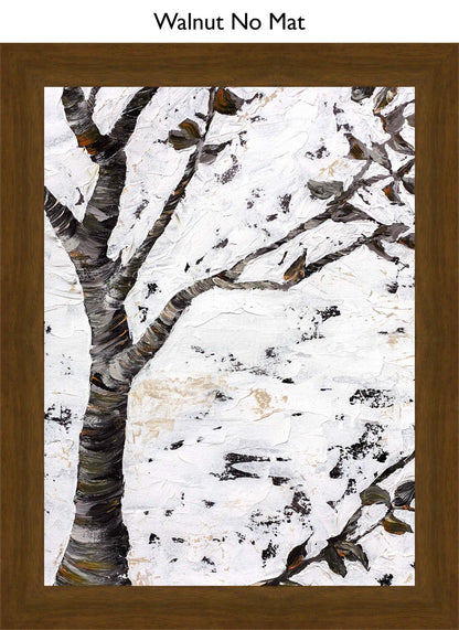 Walnut No Mat