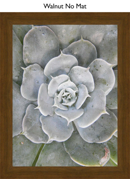 Walnut No Mat