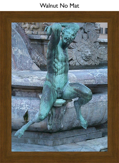 Walnut No Mat