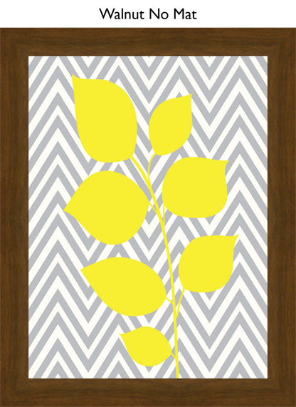 Walnut No Mat