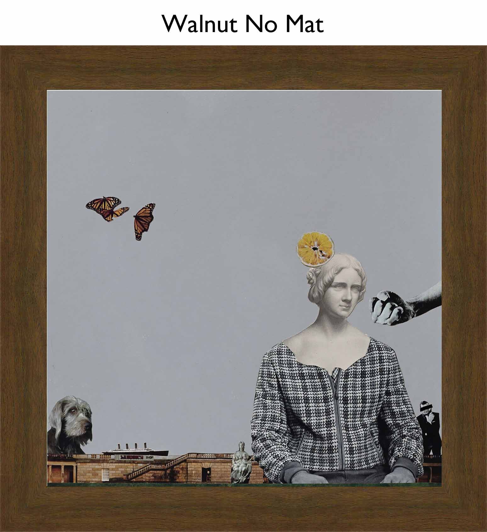 Walnut No Mat