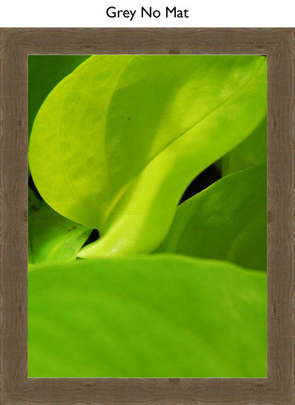 Grey No Mat