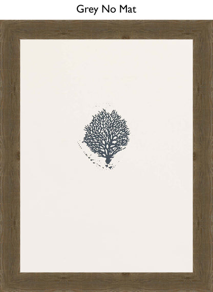 Grey No Mat