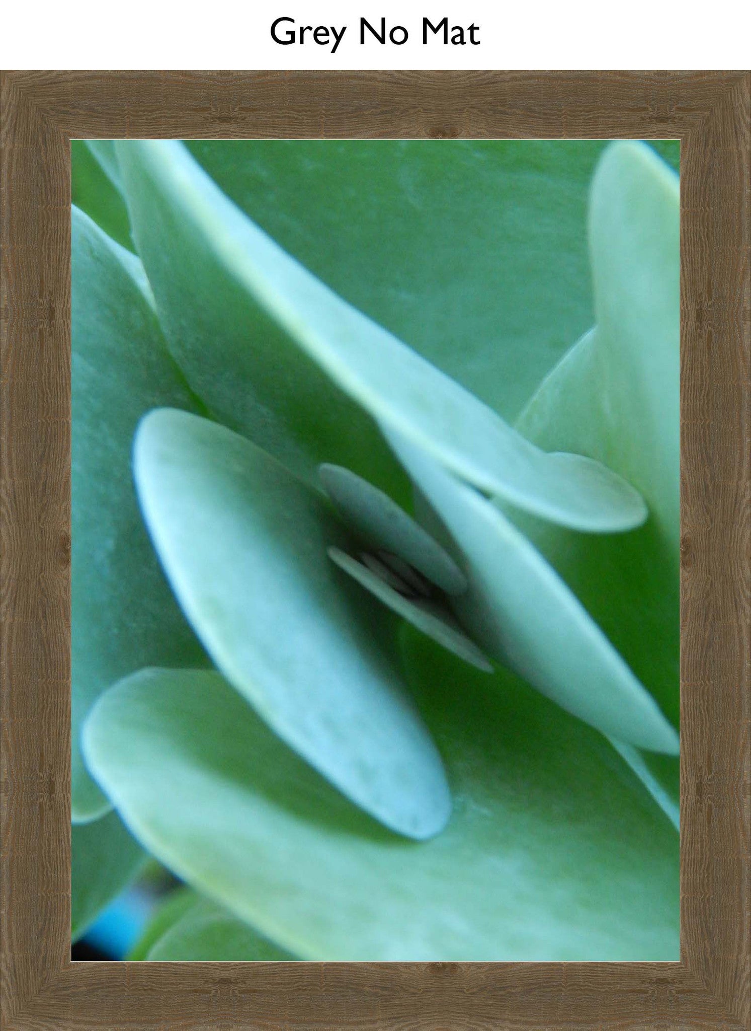 Grey No Mat