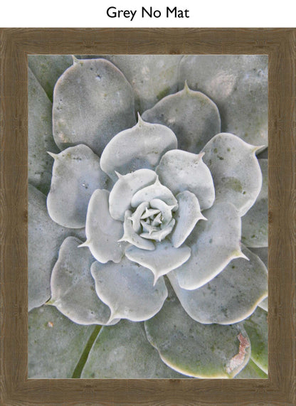Grey No Mat