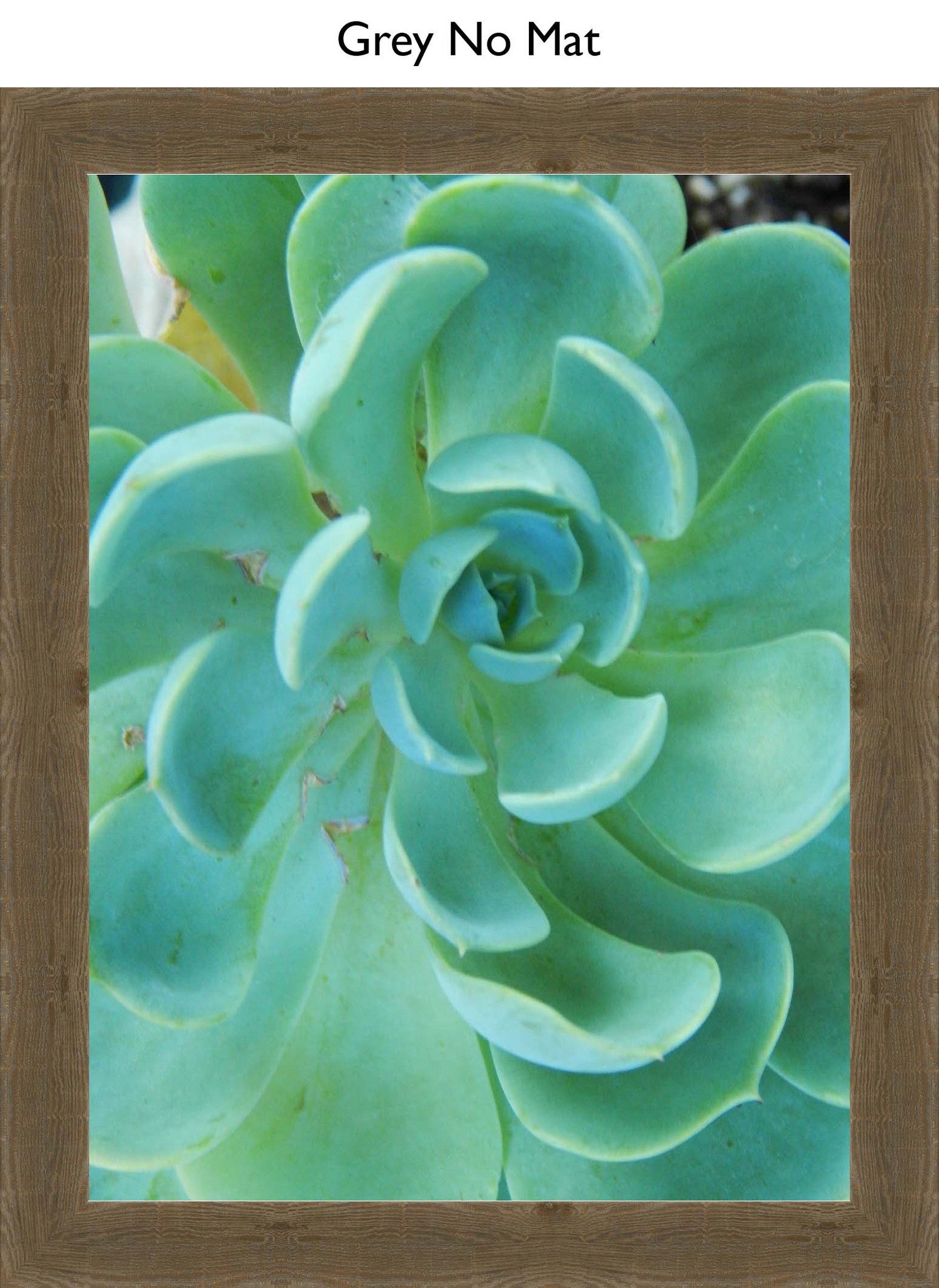 Grey No Mat