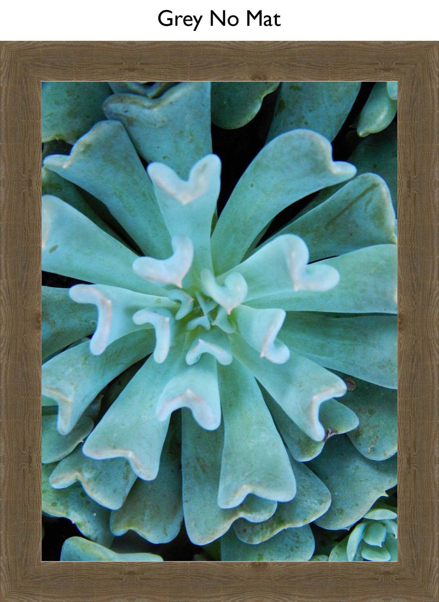 Grey No Mat