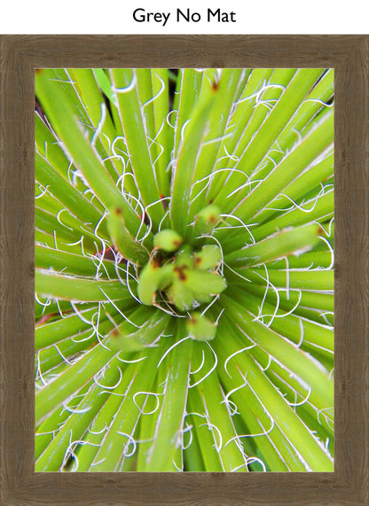 Grey No Mat