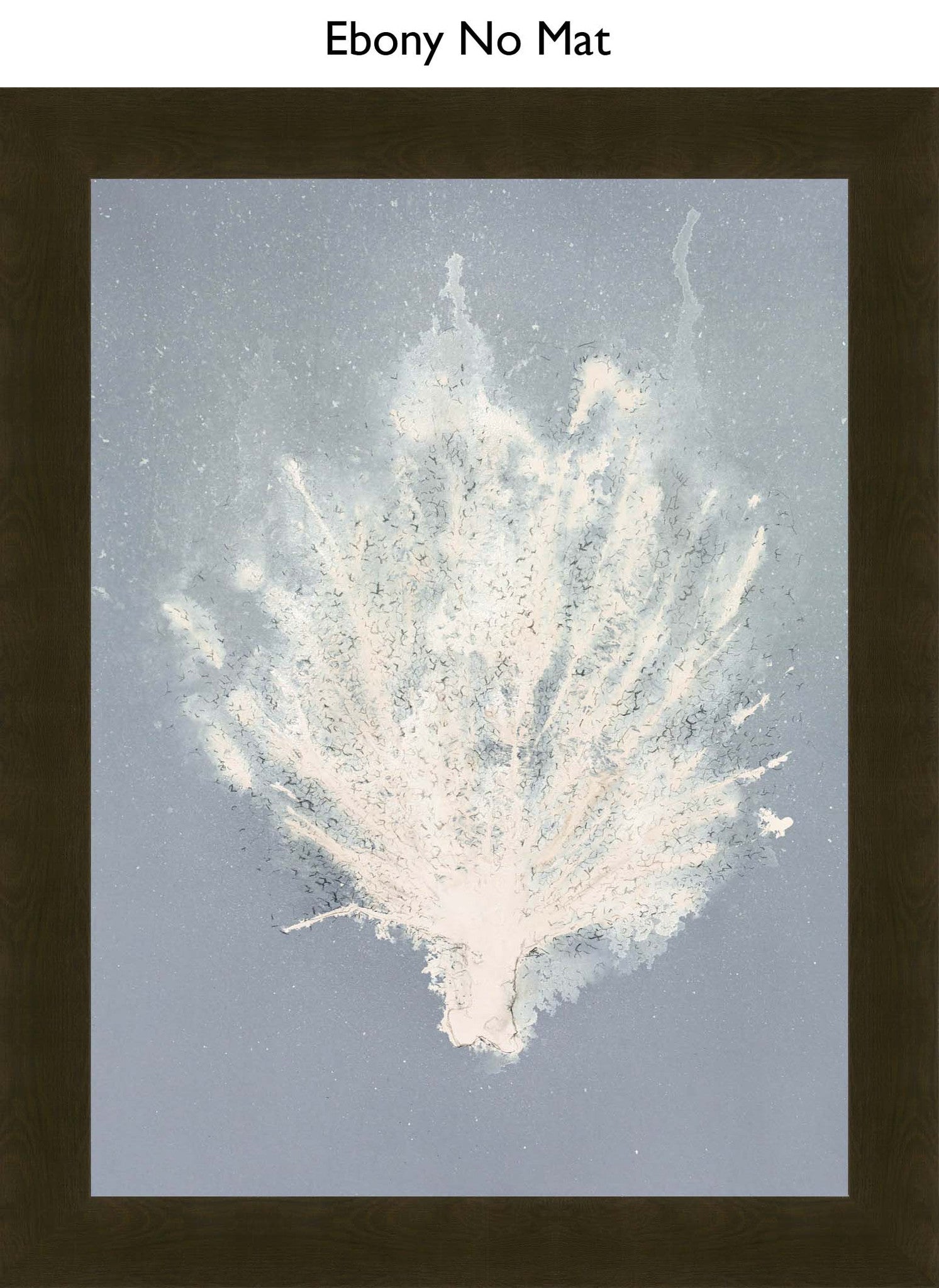 Ebony No Mat