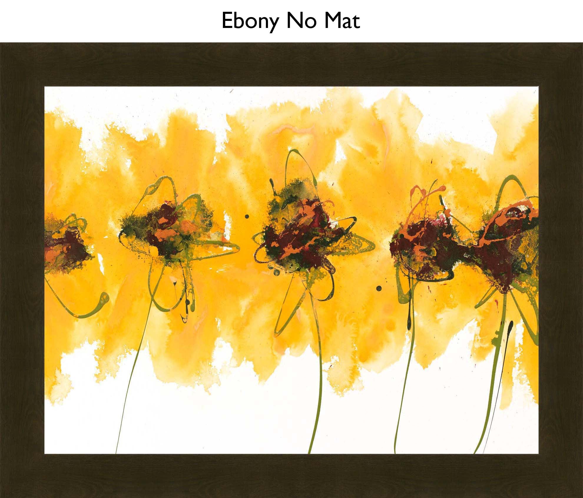 Ebony No Mat