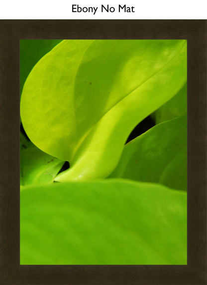 Ebony No Mat