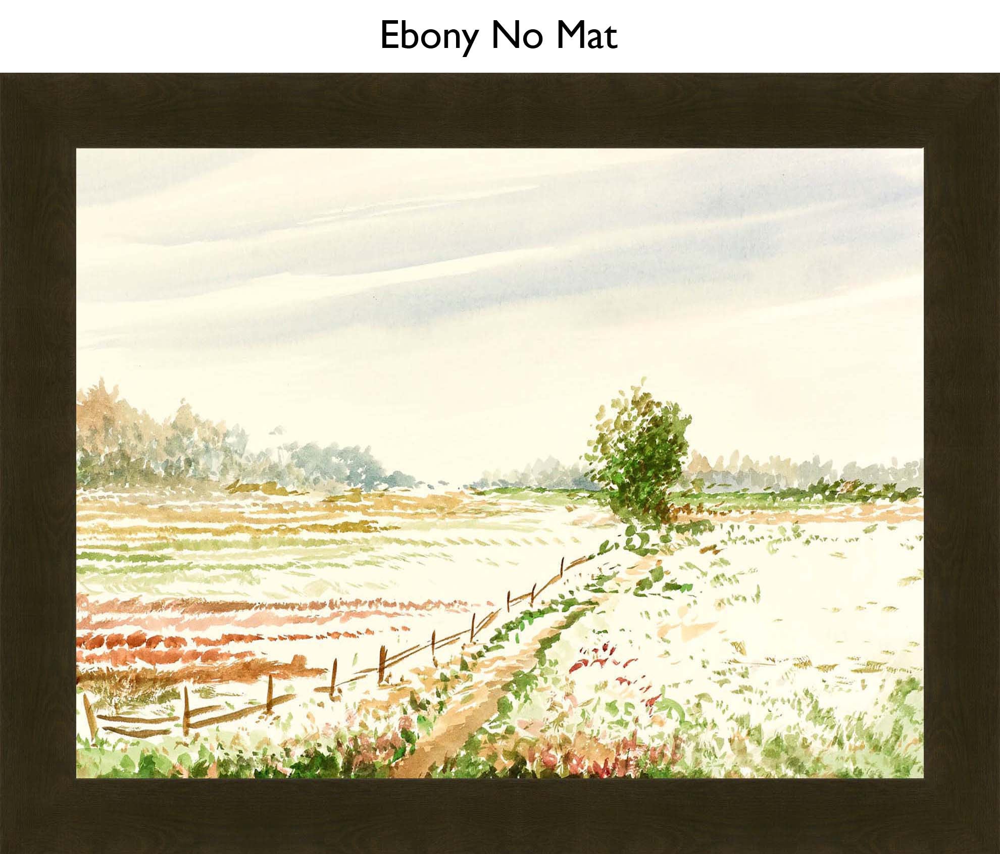 Ebony No Mat
