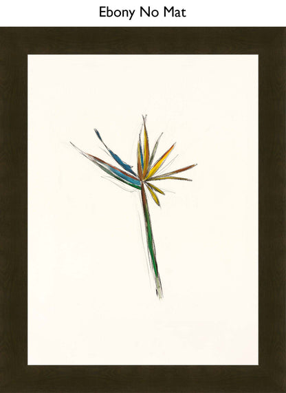 Ebony No Mat