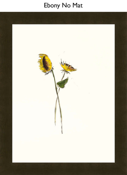 Ebony No Mat