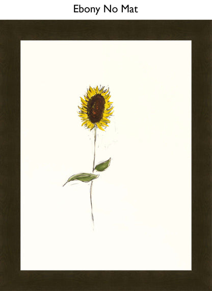 Ebony No Mat