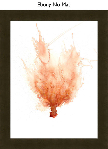 Ebony No Mat