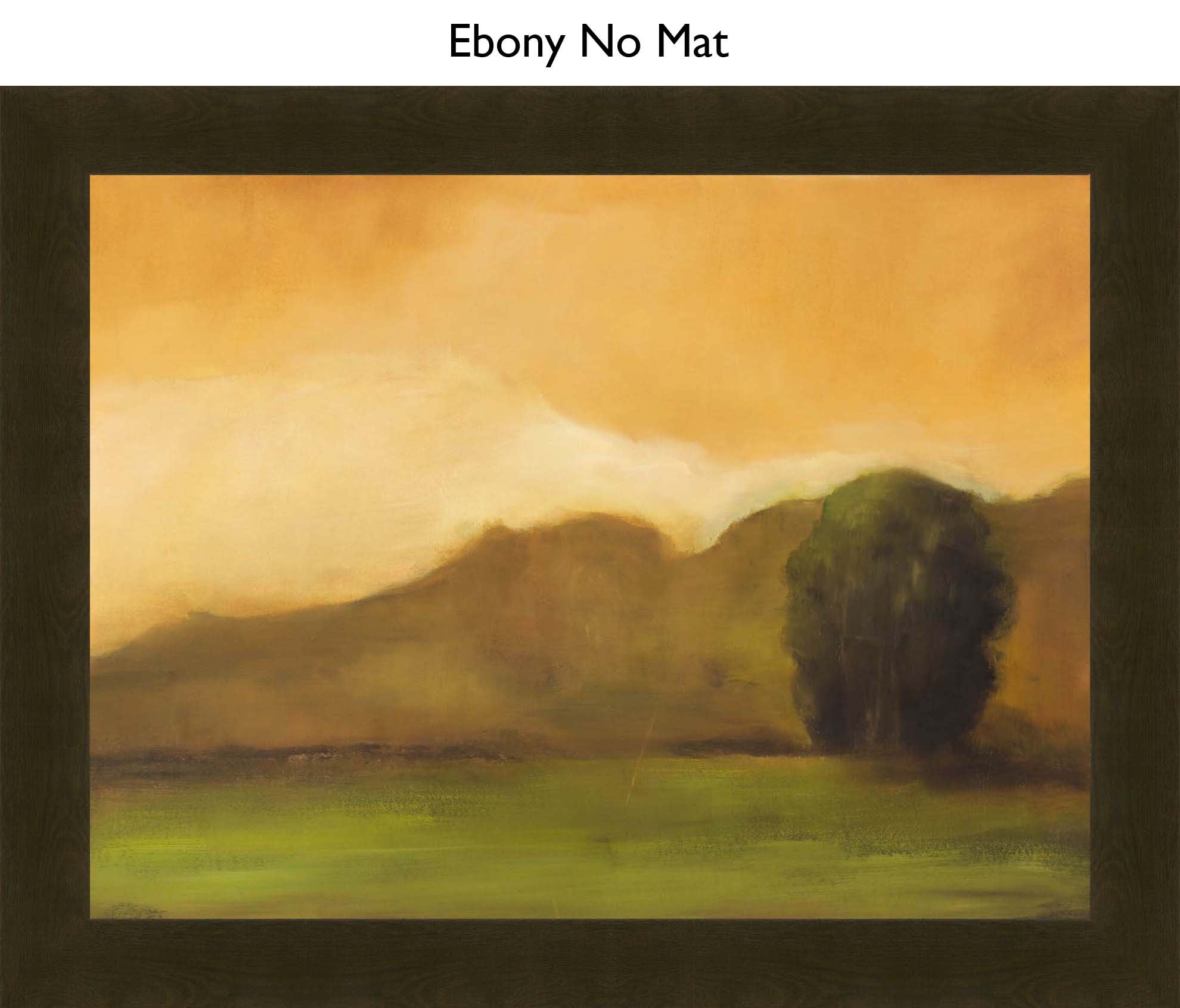 Ebony No Mat