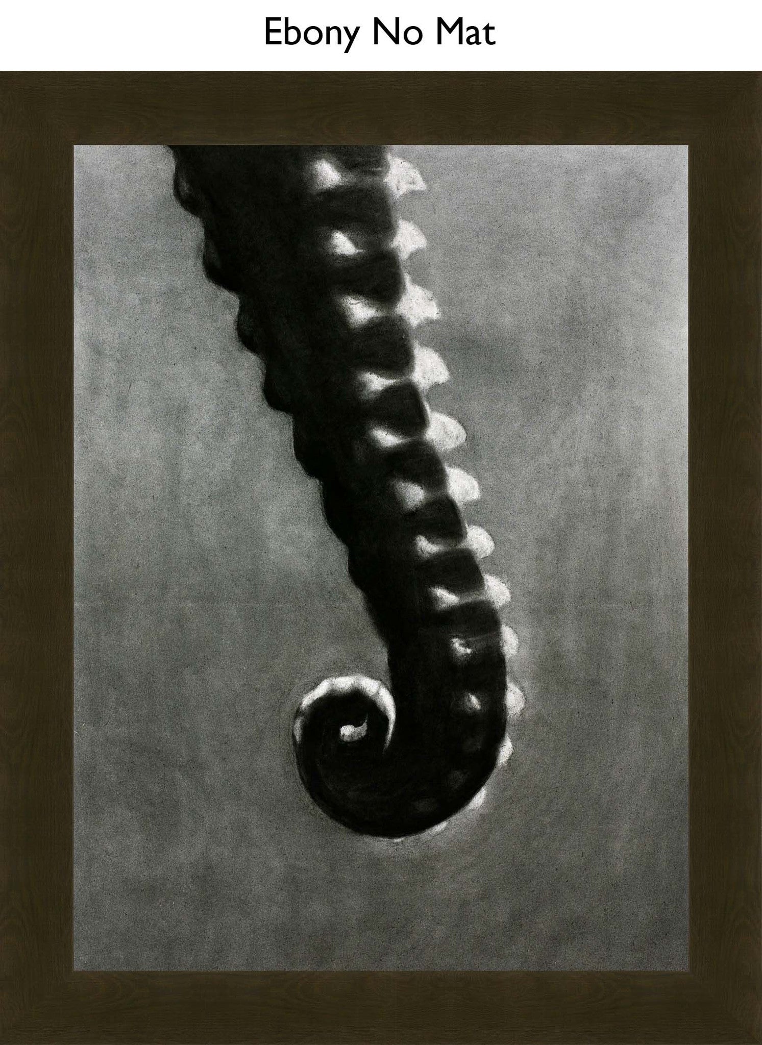 Ebony No Mat