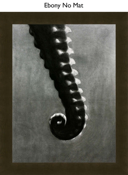 Ebony No Mat