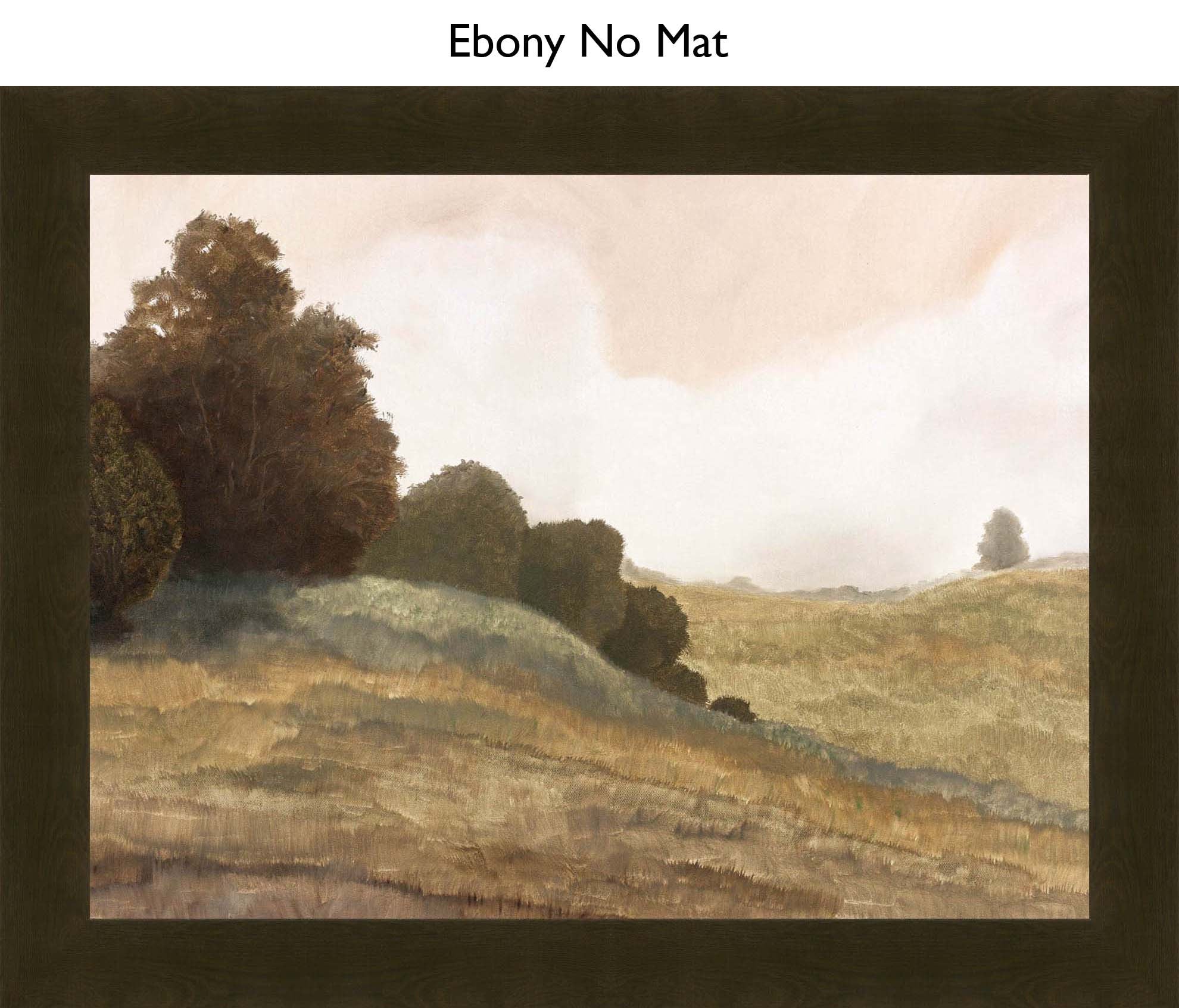 Ebony No Mat