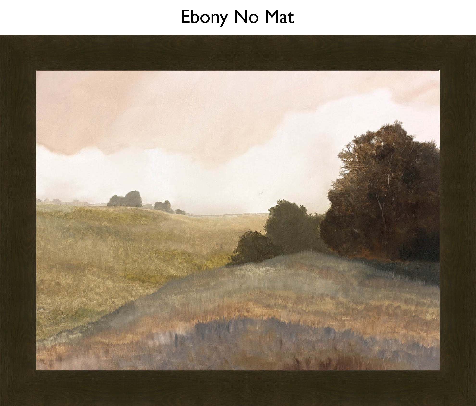 Ebony No Mat