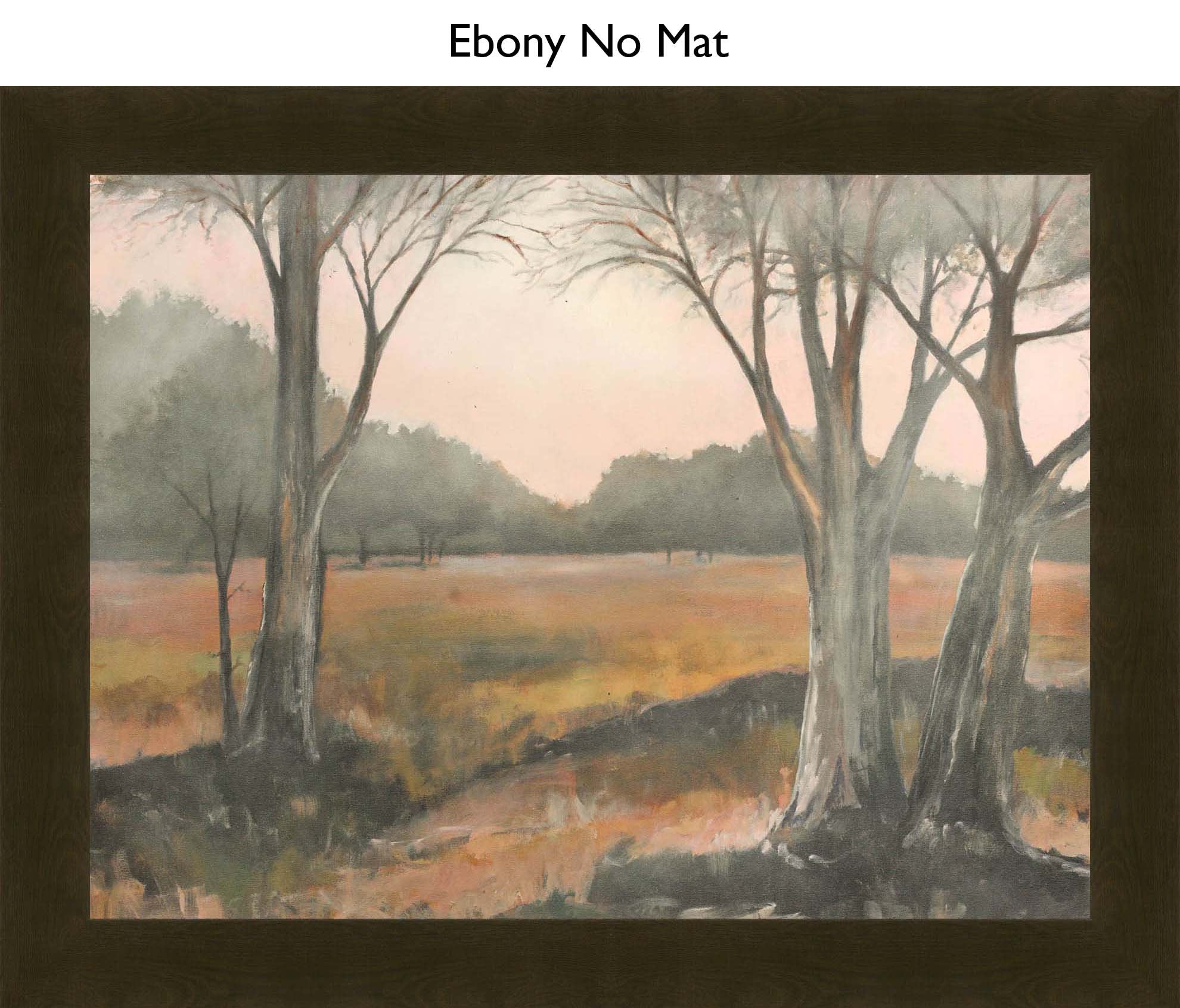 Ebony No Mat