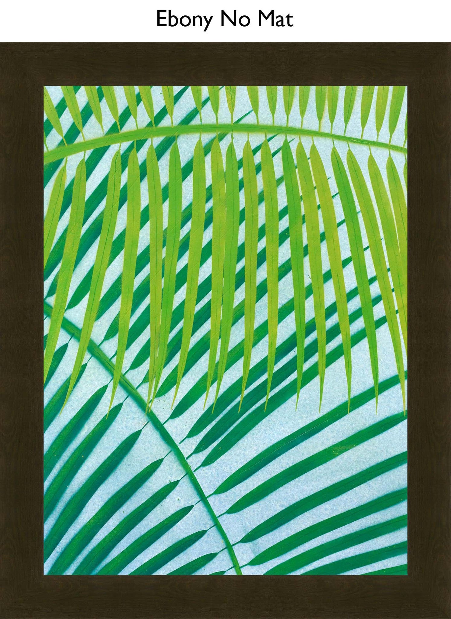 Ebony No Mat