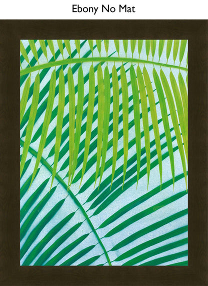 Ebony No Mat