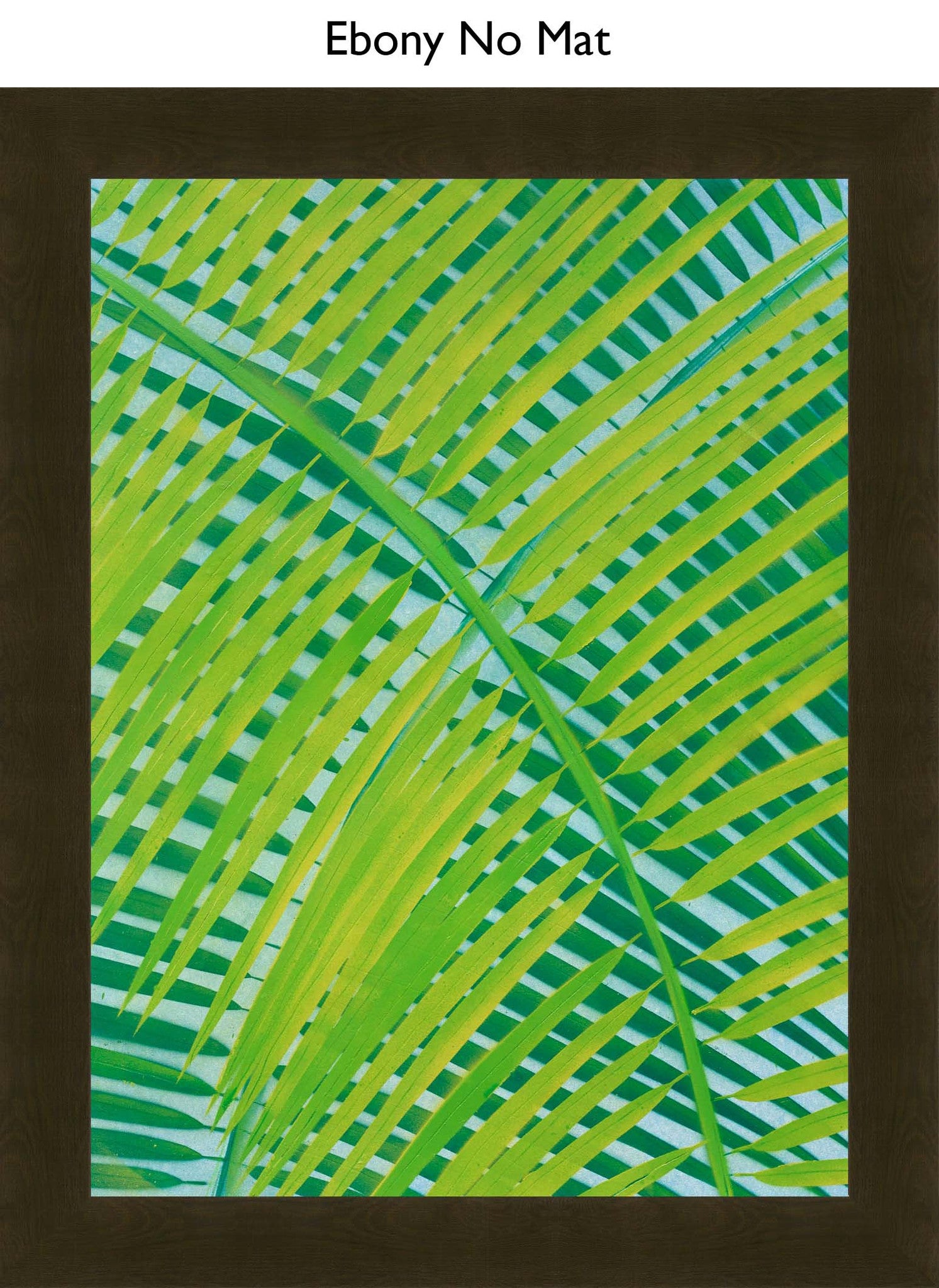 Ebony No Mat