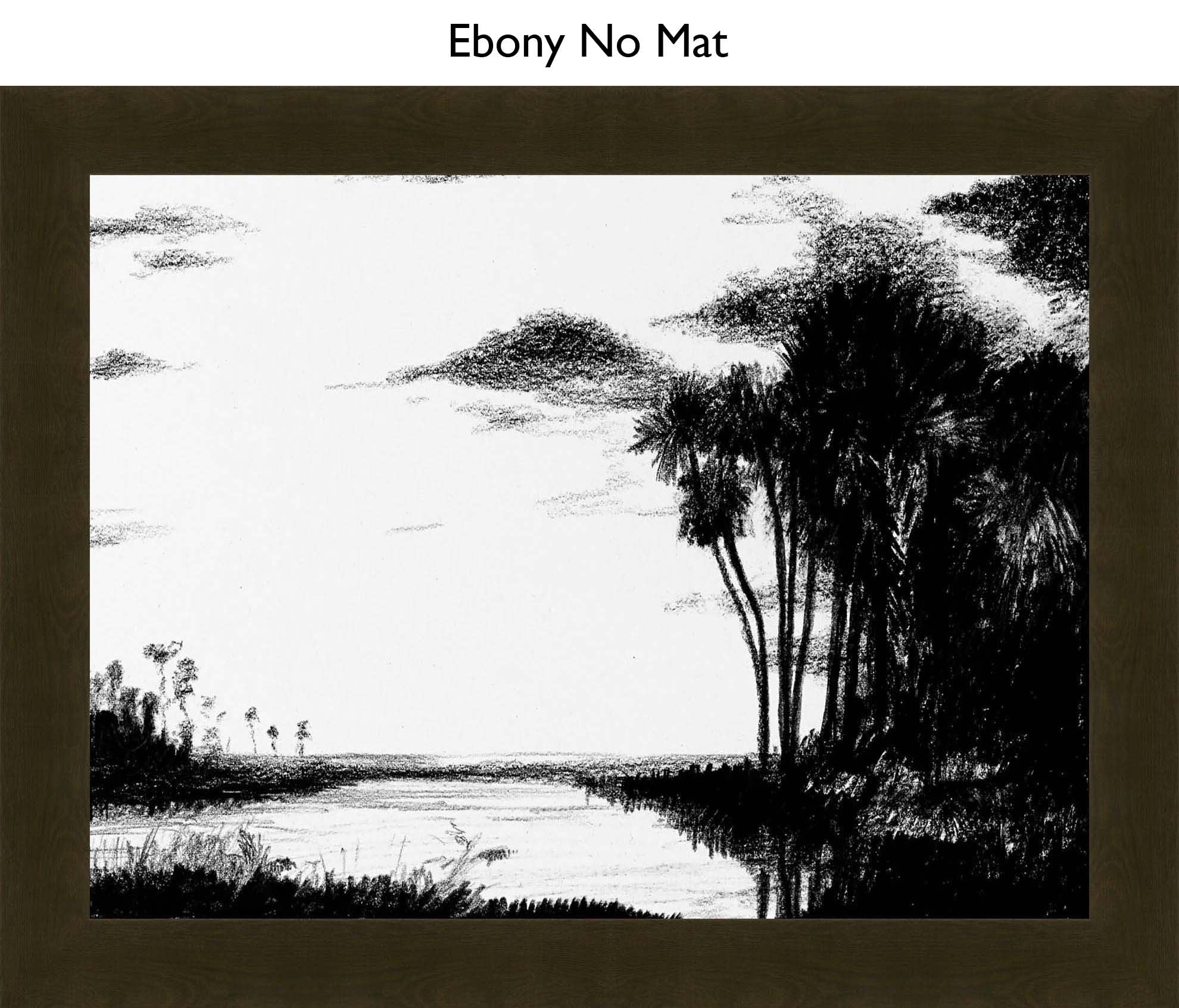 Ebony No Mat