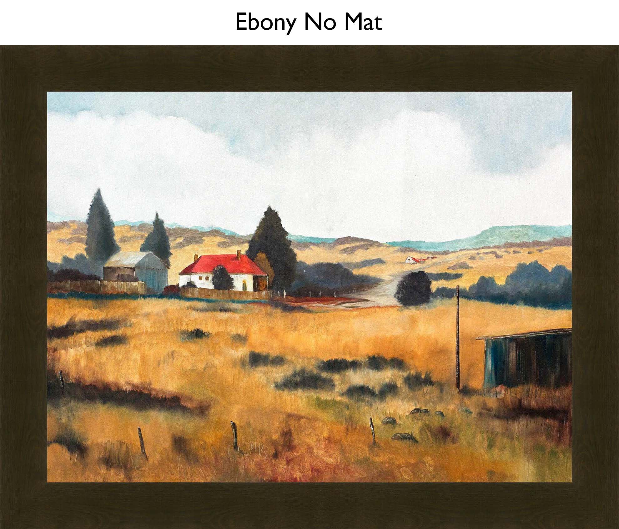 Ebony No Mat