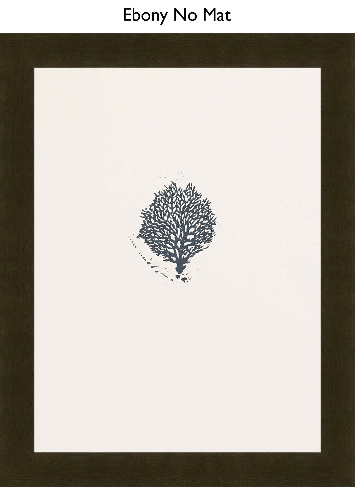 Ebony No Mat