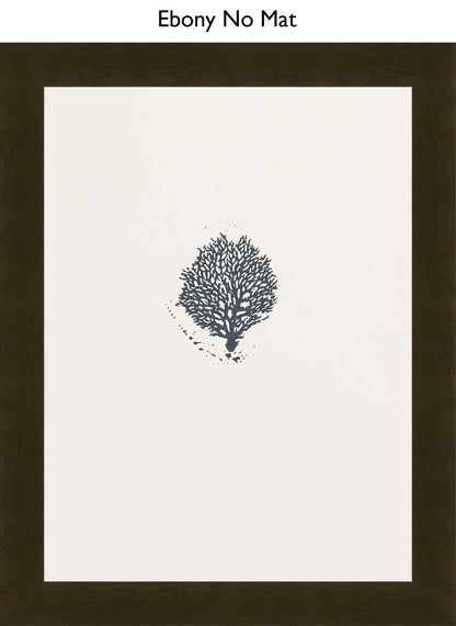 Ebony No Mat