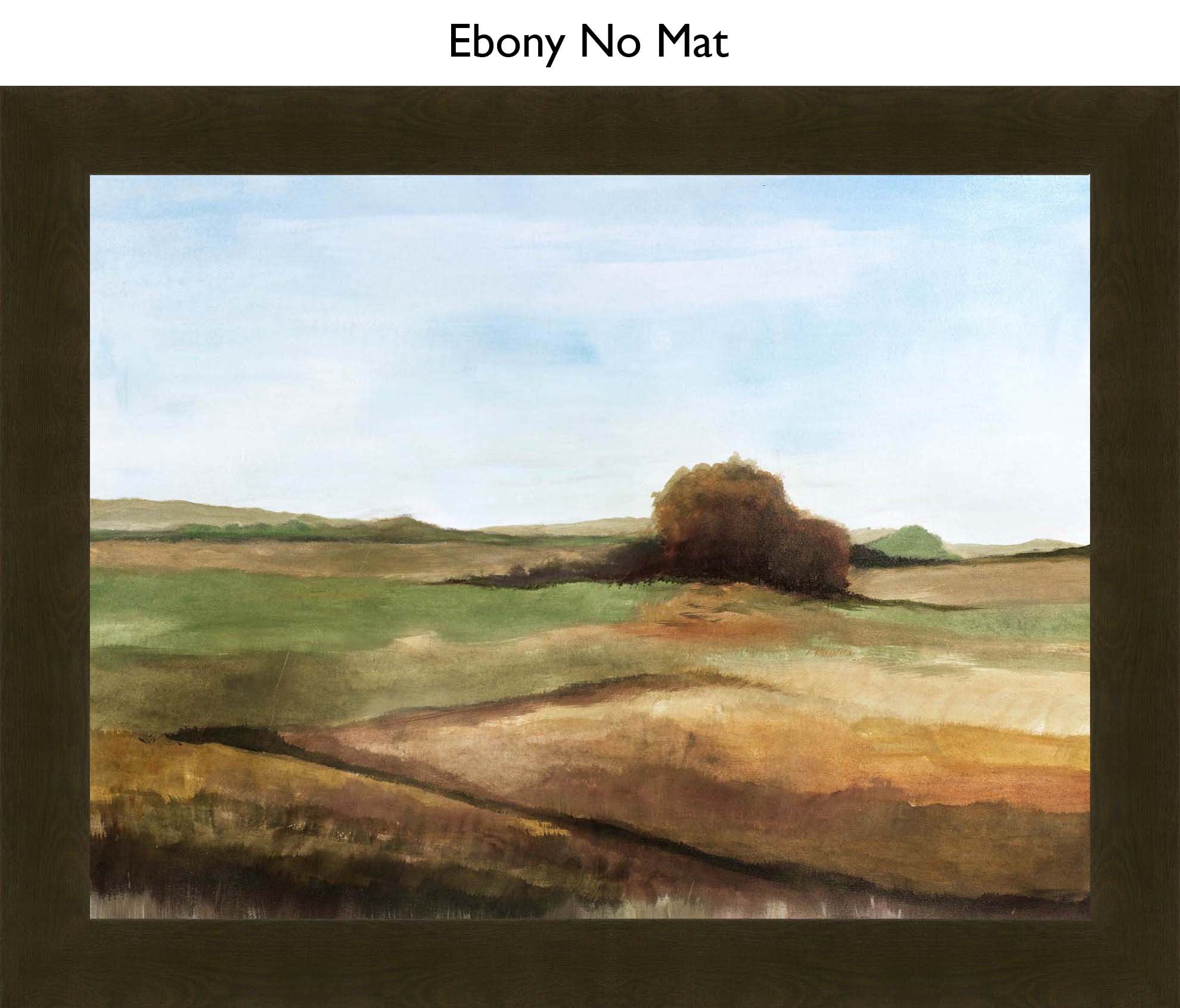 Ebony No Mat
